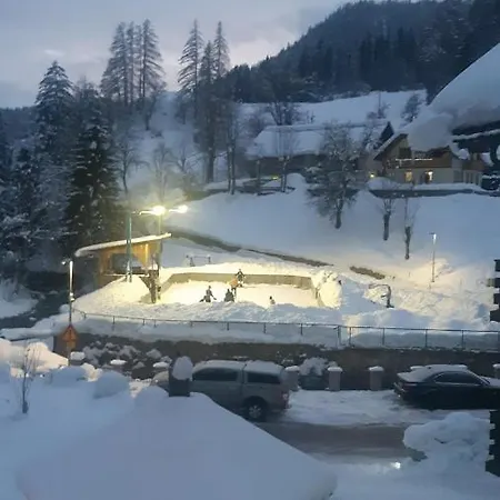 Tarman Апартаменты Есенице