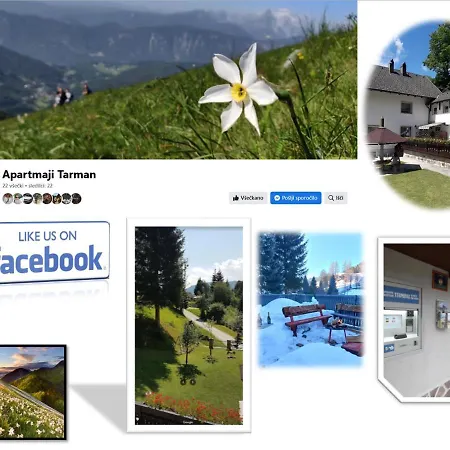 Tarman Апартаменты *