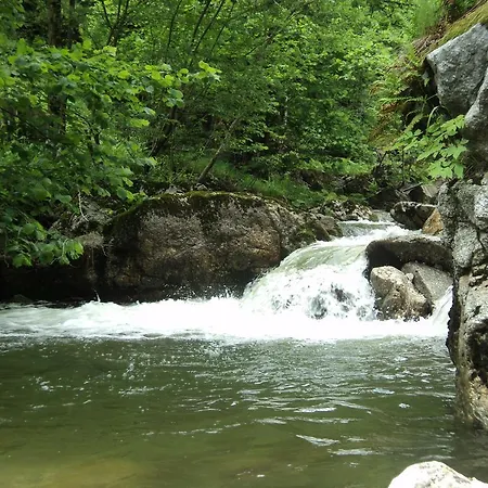 Lägenhet Tarman Jesenice
