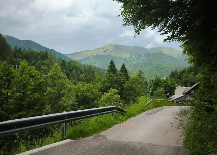 Tarman Daire Jesenice